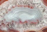 Colorful, Polished Patagonia Agate - Highly Fluorescent! #214913-2